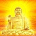 如来佛组
